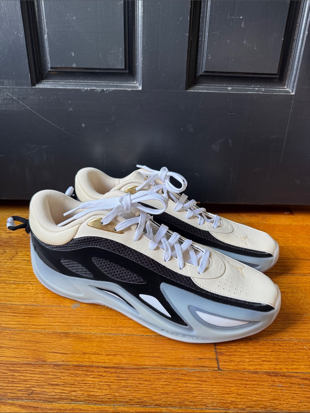 Jordan Air Series 2 “WNBA”
